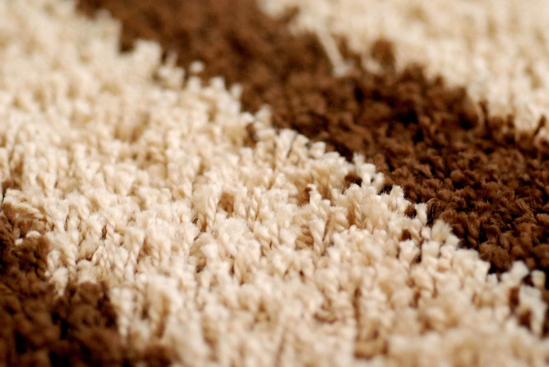 Close up of clean carpet fibres
