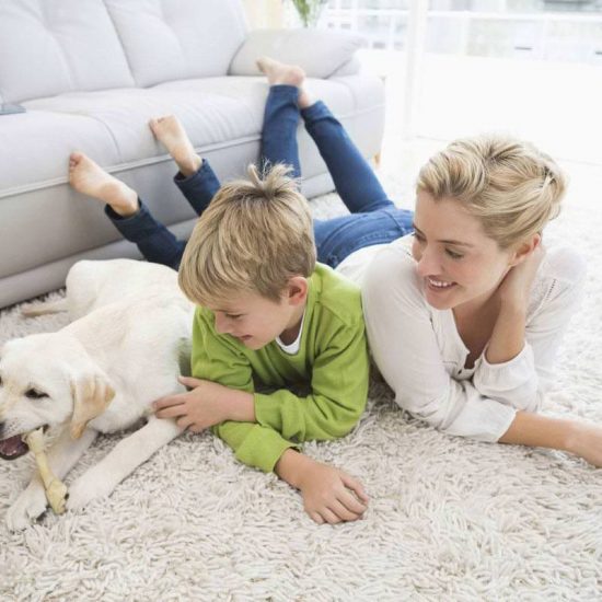 happy mother and son lying with dog on clean carpet